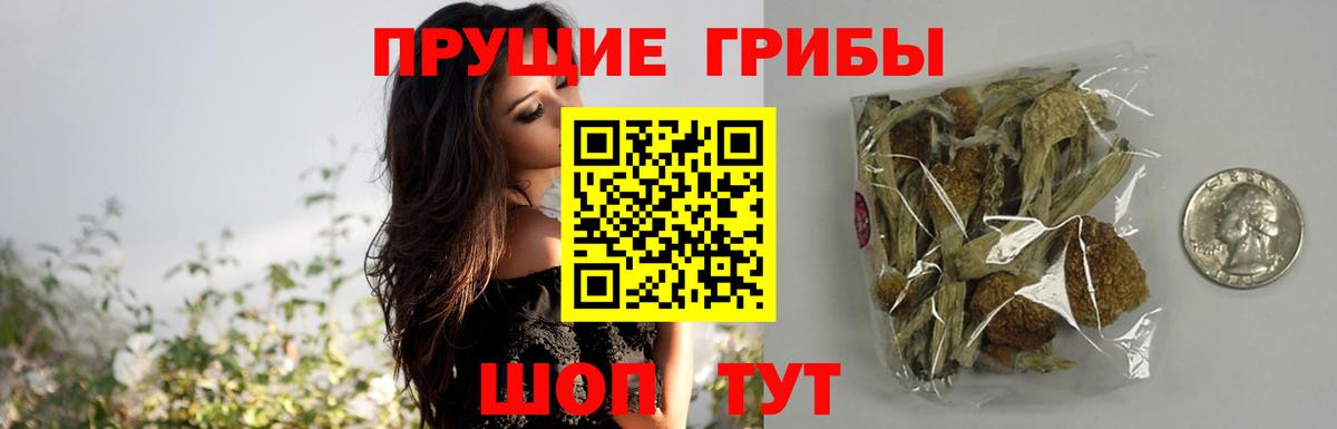 Бутурлиновка  Галлюциногенные грибы Psilocybine cubensis  Вход с VPN  Псилоцибиновые грибы Psilocybine cubensis 